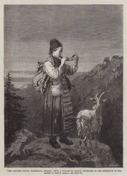 Mädchen, das Vieh hütet, Dalecarlia, Schweden, in der Ausstellung der Gesellschaft der Künstlerinnen